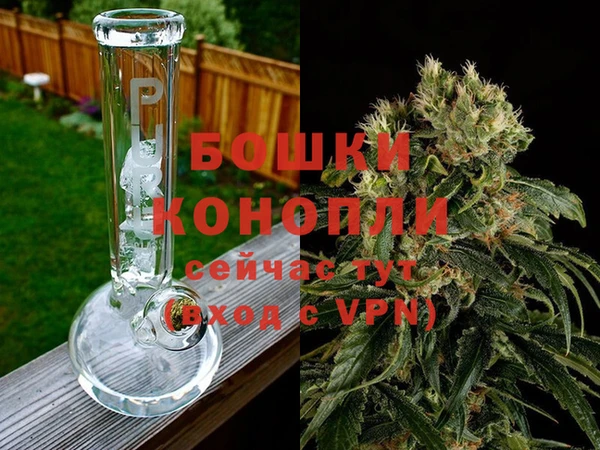 ALPHA PVP Аркадак